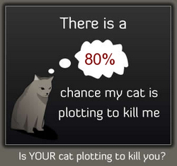 Is your cat plotting to kill you?